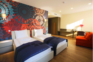 Zepter Hotel Drina, Bajina Bašta - Deluxe Soba: francuski ležaj za jednu osobu (200×200 cm) ili francuski ležaj za dve osobe (200×200 cm) ili dva razdvojena ležaja (100×200 cm)